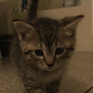 Meet your Posher, Steven